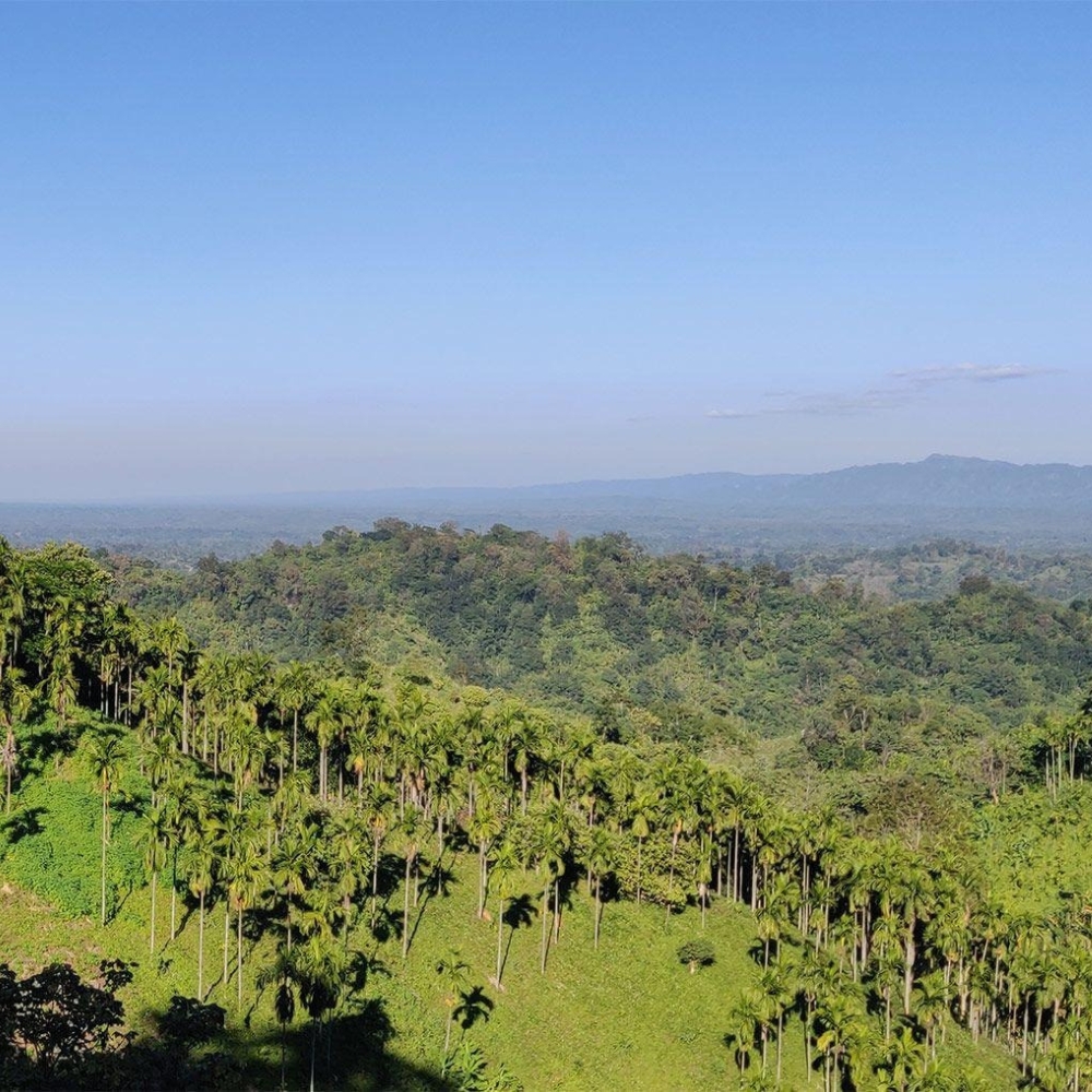 Tribal Villages